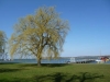 p1000801.jpg
