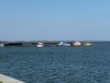 p1000807.jpg